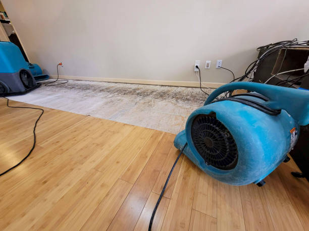 Professional Water Damage Repair technician working in Memphis, IN